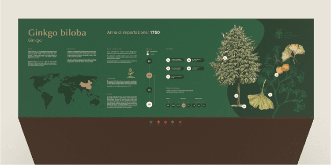 Padua Botanical Garden carousel: wayfinding